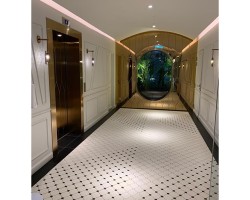 Interior and Exterior decoration in pvd gold color Interior and Exterior decoration in pvd gold color