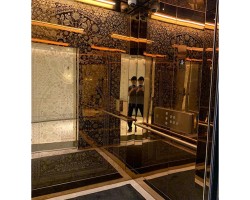 Interior and Exterior decoration in pvd gold color Interior and Exterior decoration in pvd gold color