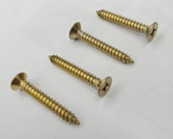 Skru coated in PVD Titanium Gold coating