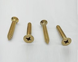 Skru coated in PVD Titanium Gold coating
