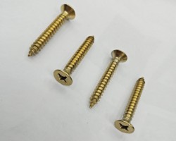 Skru coated in PVD Titanium Gold coating