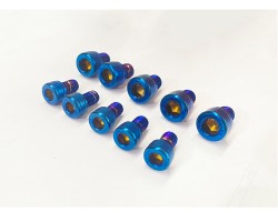 Bolts coated in pvd titanium blue coating. Bolts coated in pvd titanium blue coating.