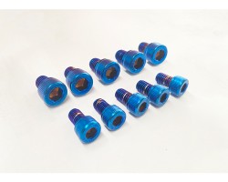 Bolts coated in pvd titanium blue coating. Bolts coated in pvd titanium blue coating.