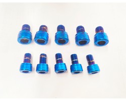 Bolts coated in pvd titanium blue coating. Bolts coated in pvd titanium blue coating.