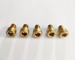 Professional PVD Titanium Gold Coating Service for Nut and Screw Professional PVD Titanium Gold Coating Service for Nut and Screw