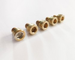 Professional PVD Titanium Gold Coating Service for Nut and Screw Professional PVD Titanium Gold Coating Service for Nut and Screw