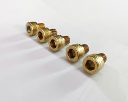 Professional PVD Titanium Gold Coating Service for Nut and Screw Professional PVD Titanium Gold Coating Service for Nut and Screw