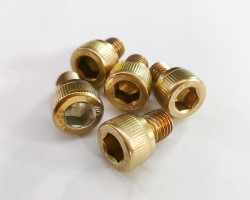 Professional PVD Titanium Gold Coating Service for Nut and Screw Professional PVD Titanium Gold Coating Service for Nut and Screw