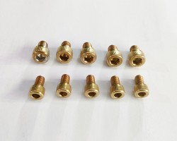 Professional PVD Titanium Gold Coating Service for Nut and Screw Professional PVD Titanium Gold Coating Service for Nut and Screw