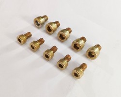 Professional PVD Titanium Gold Coating Service for Nut and Screw Professional PVD Titanium Gold Coating Service for Nut and Screw