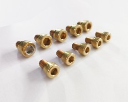 Professional PVD Titanium Gold Coating Service for Nut and Screw Professional PVD Titanium Gold Coating Service for Nut and Screw