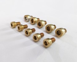 Professional PVD Titanium Gold Coating Service for Nut and Screw Professional PVD Titanium Gold Coating Service for Nut and Screw