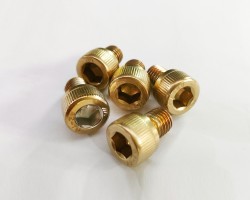 screws with our PVD Titanium Gold Coating
