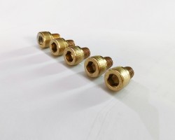 screws with our PVD Titanium Gold Coating screws with our PVD Titanium Gold Coating