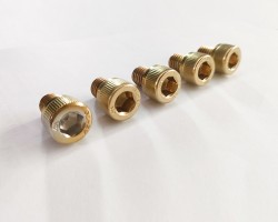 screws with our PVD Titanium Gold Coating screws with our PVD Titanium Gold Coating